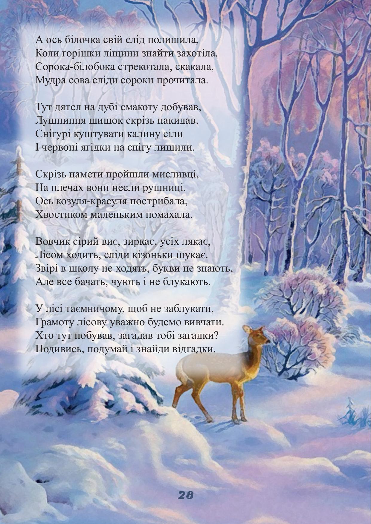 Сторінка 28